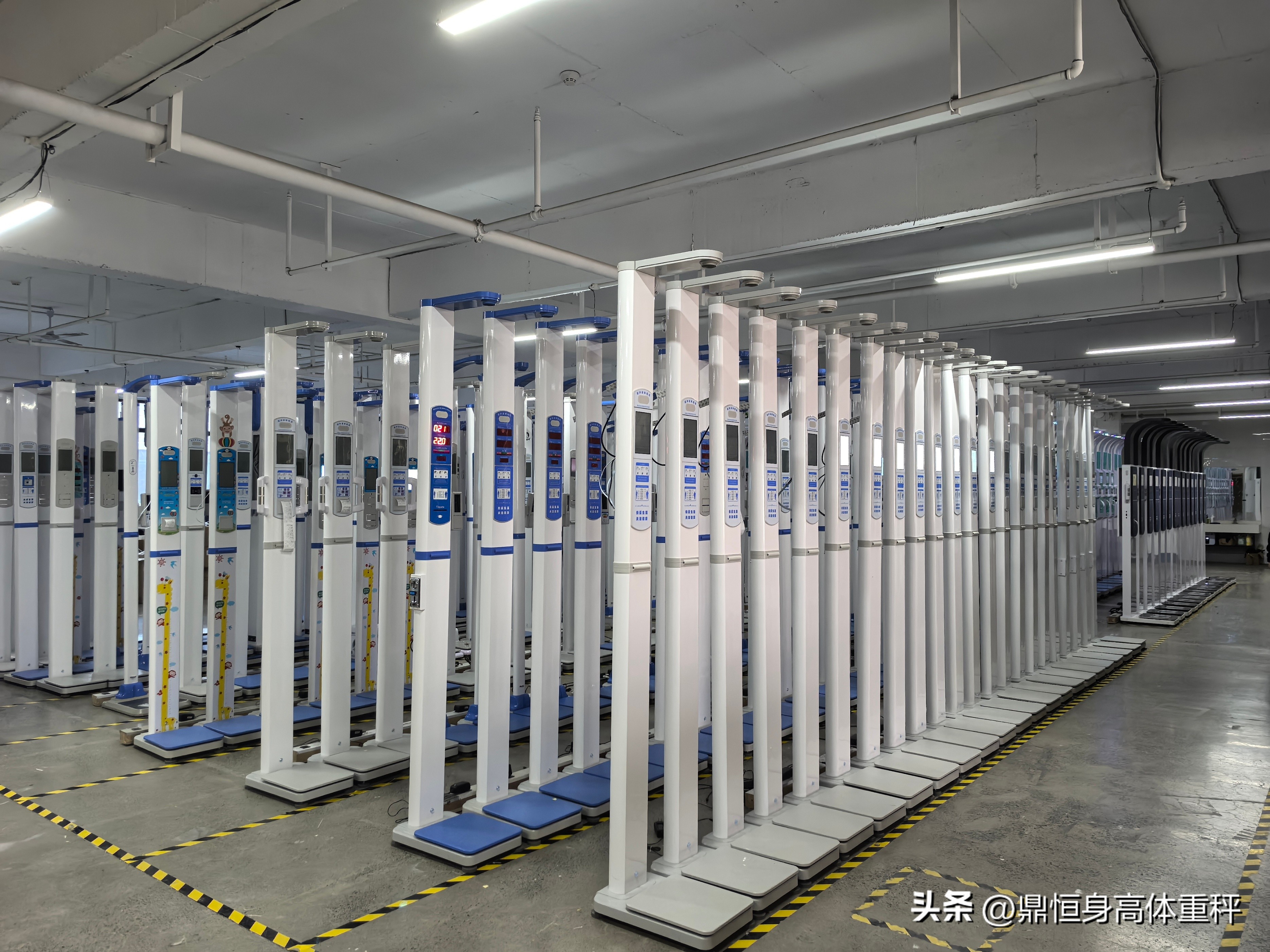能测身体健康的手机_手机测健康软件排行榜下载_能测身体健康手机有哪些